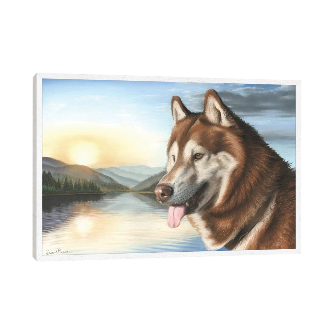 Siberian Husky von Richard Macwee - Galerie-verpackte Leinwand Giclée auf Leinwand