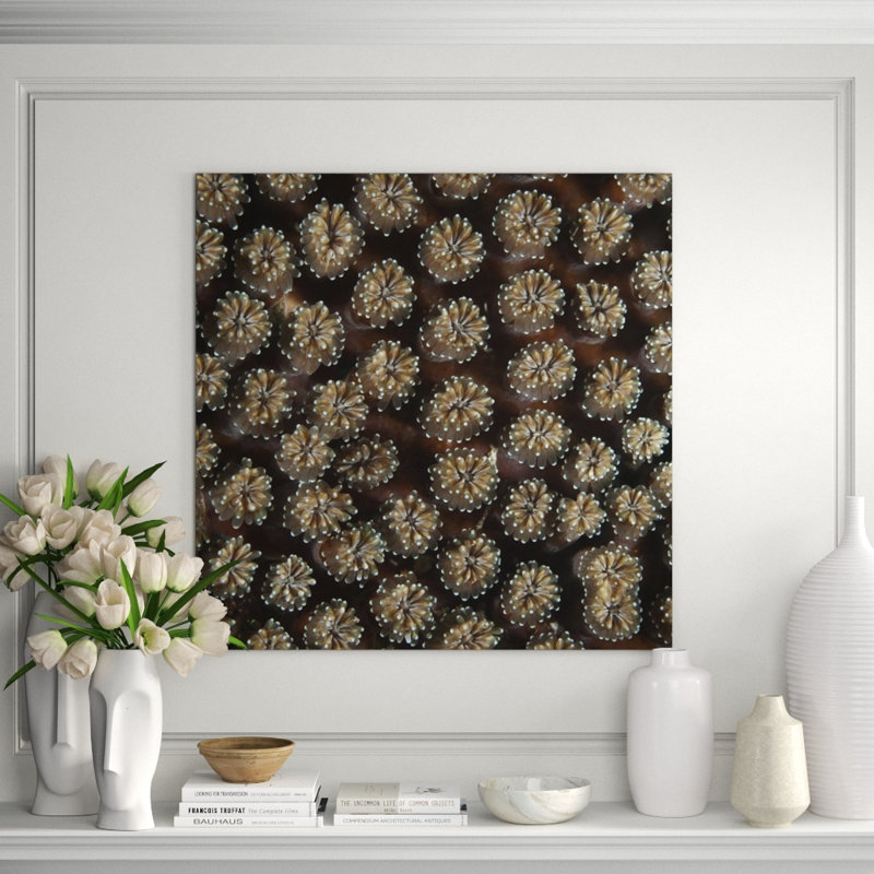 Underwater Beauty II Print by Austin Beiv, Outdoor, 22" H x 22" W x 1.5" D