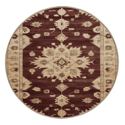 Machine Washable Overdyed Brown Area Rug