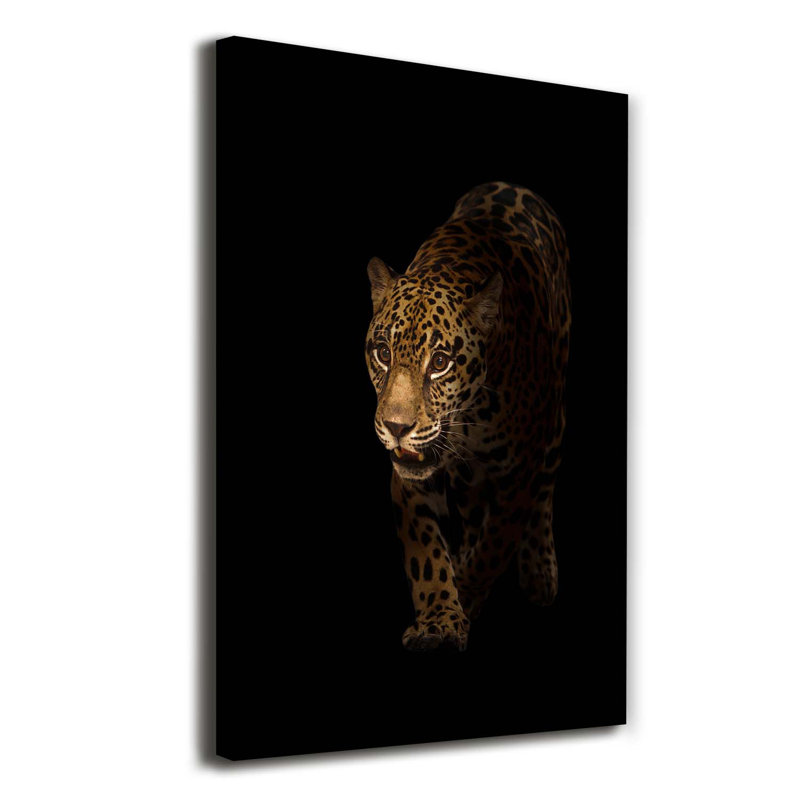 Jaguar - Wrapped Canvas Print
