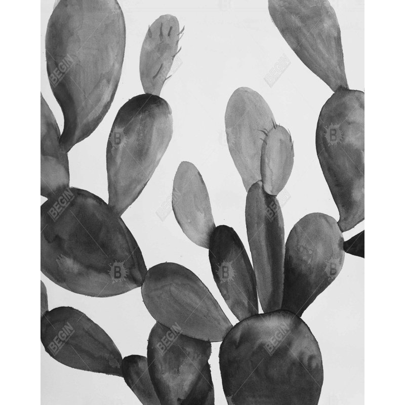 Cactus en niveaux de gris - décor floral encadré noir et blanc, H 61,25 po x l 49,25 po