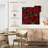 Harnek Ruby Poinsettias-109358325