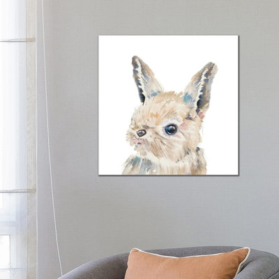 Baby Bunny Close Up by Patricia Pinto - Wrapped Canvas Gallery-Wrapped Canvas Giclée