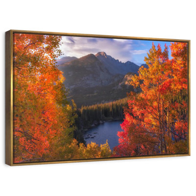 Rocky Mountain Autumn