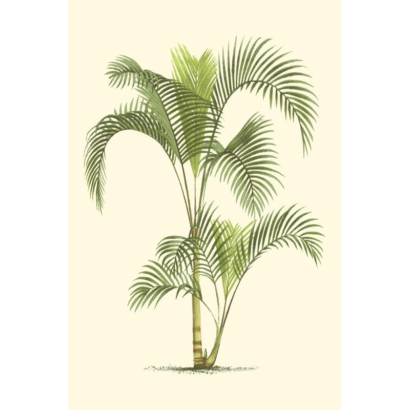 Palmier côtier IV, H 30 po x l 20 po x P 1,25 po