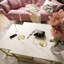 Cotsen Frame Coffee Table-56489702-56489701