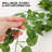 37.4'' Faux Pothos Plant