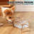 Elevated Tilted Double Cat Bowls