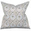 Bodie Ikat Square Pillow Cover & Insert