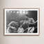 Muhammad Ali Punching by Getty Images-494836328-494836330