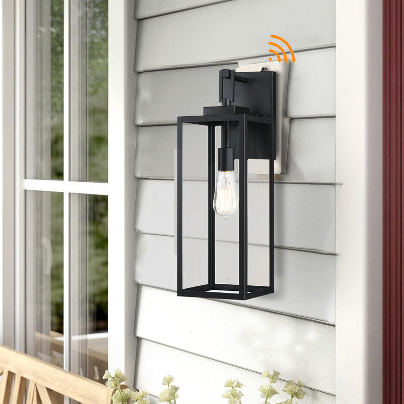 Citron 1-Light Matte Black Outdoor Wall Lantern with Dusk to Dawn
