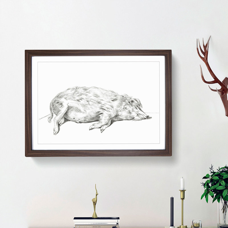 Lying Pig by Jean Bernard - Framed Print, Walnut Framed, 36cm H x 48cm W x 2cm D
