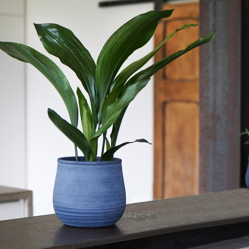 Ivyline Kew Indoor Handthrown Indoor Planter, 24 cm H x 25 cm W x 25 cm D, Umber