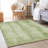 Premium Machine Washable Prisco Aloe Rug-1279304000