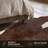Dante Cowhide Animal Print Indoor Rug