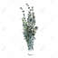 Thym Leaves Bundle - Impression encadrée de cuisine de campagne | Décoration-1830018571-1830018570