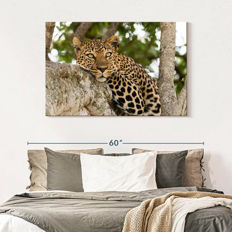 Brampt Leopard On Tree Trunk