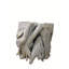 Teak Root Sculpture