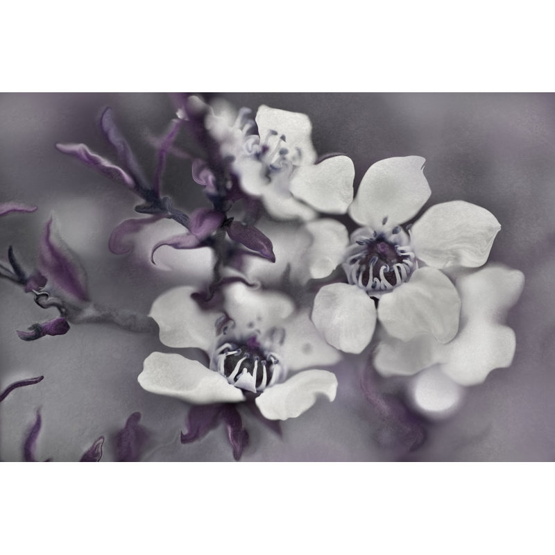 «Tales from an Enchanted Glen I» par Gillian Hunt - impression sur toile tendue, H 32 po x l 48 po, Cadre simple noir, Non