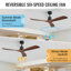 Nicola 52" 3 - Blade Standard Ceiling Fan with Remote Control-1851323405