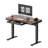 Home Office Height Adjustable Standing Desk with Drawer-1508301585-1499651192