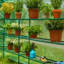 Serre de jardin 98 po