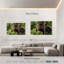Orignal Brampt Wild Bull-108078673