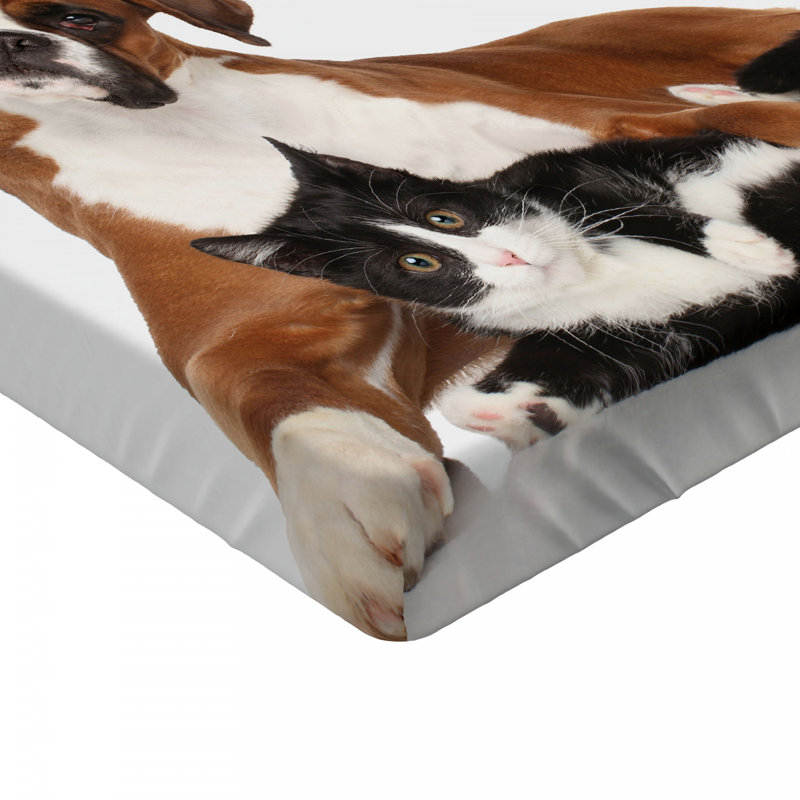 Drap-housse animal, Drap-housse de taille double