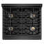 ZLINE Designer 30 in. DuoPro Dual Fuel Range in Black Satin Steel with Black and Bronze Accents-893972963