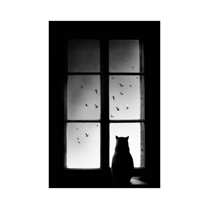 Winter Is Coming by Mario Pucic - Print on Canvas, 66.04cm H x 45.72cm W x 1.91cm D, Wrapped Canvas