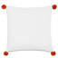 Wilder Square Pillow Cover & Insert