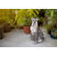 Figurine pour chien assis schnauzer
