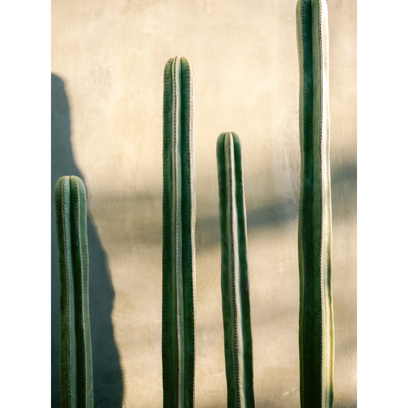 Wrapped Canvas Print, 91.44 cm H x 60.96 cm W