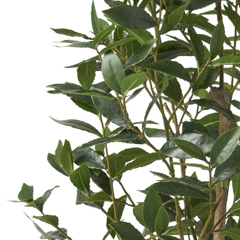 Laurier artificiel en pot Abernethy, H 64 po x l 24 po x P 29 po