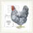 Cadre blanc n'est pas disponible