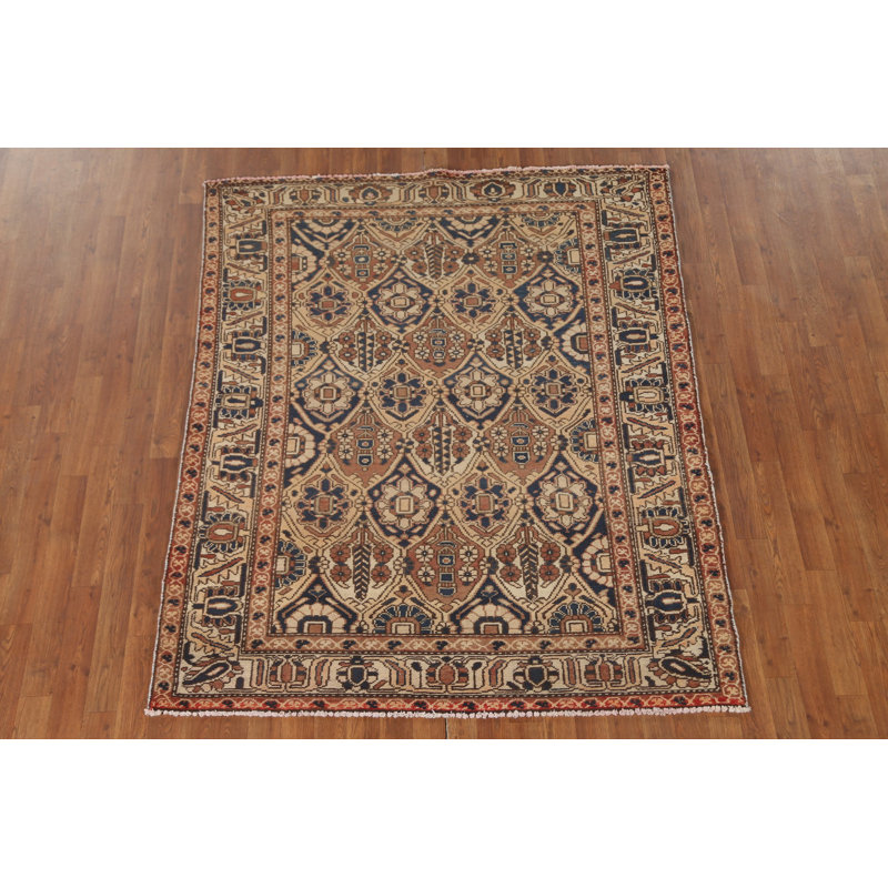 Vegetable Dye   Rug 5x6