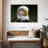 Brampt Bald Eagle Stare-108821735