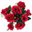 Tige de roses
