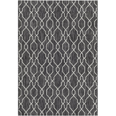 Tapis intérieur / extérieur gris anthracite Shattuck