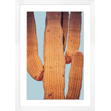 Desert Cactus 2 Print by Christopher Kennedy