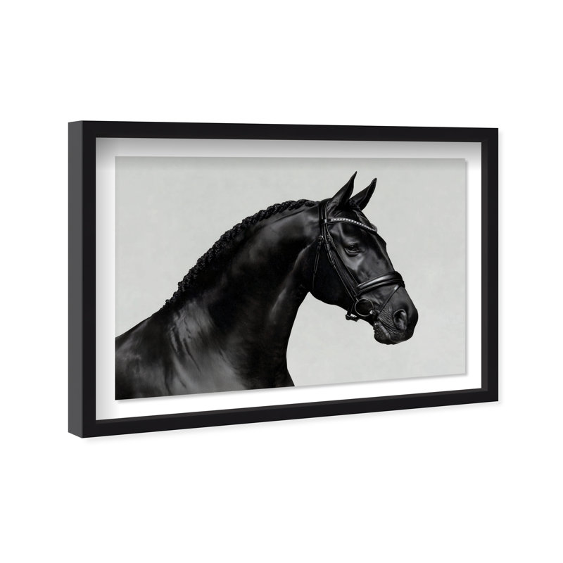 Midnight Majesty I Print by Oliver Gal, 31.5"H x 21.5"W, Black Shadowbox
