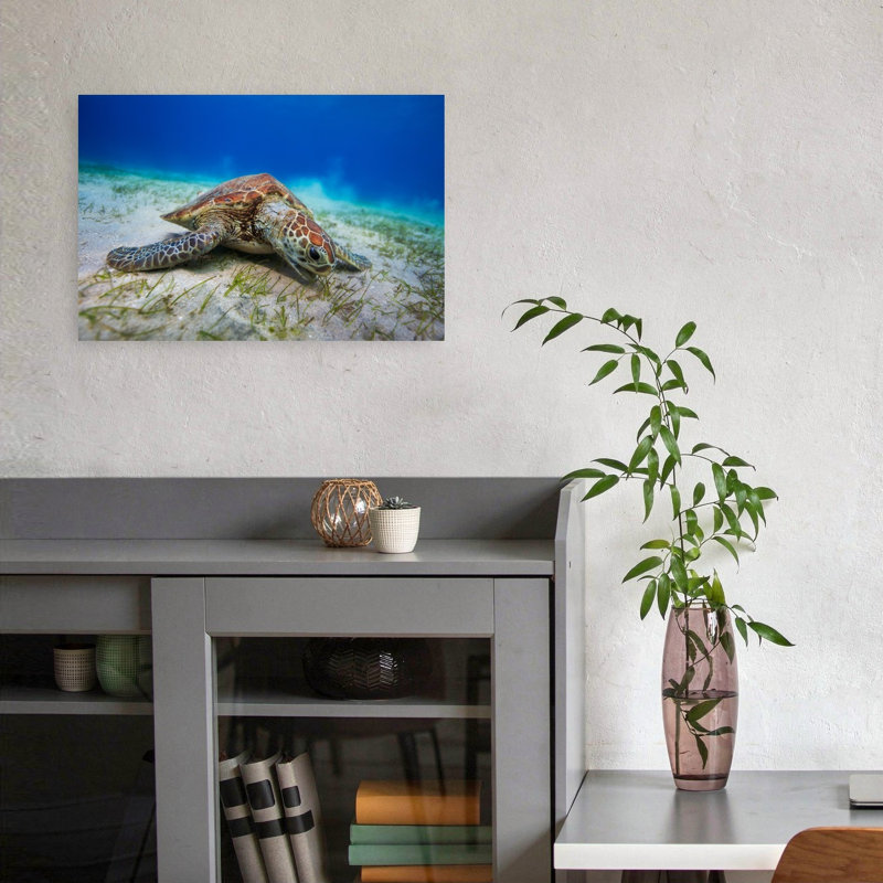 Green Turtle Ocean Floor Peaceful Serene Contemporary Turtle Nature Ocean Wall Art Print 1 Piece Wrapped Canvas Wall Art