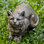 Cat Garden Statue
