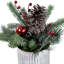 12 plantes