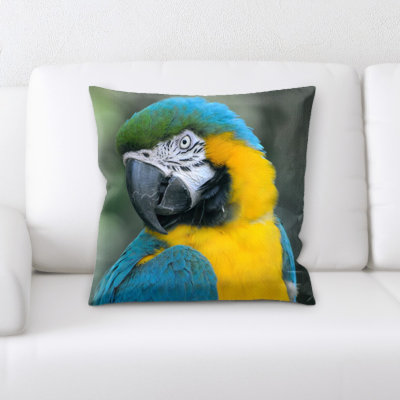 Coussin Ashliek