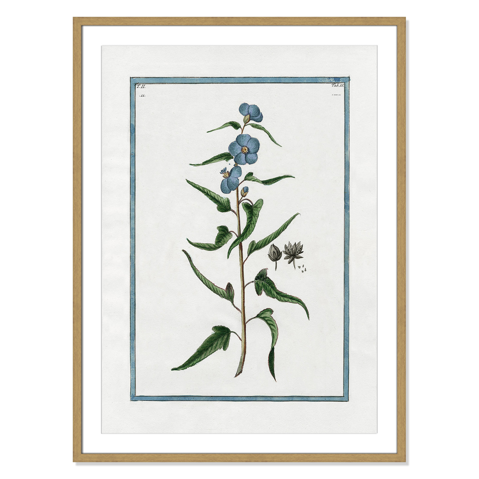 Colombe "Shabby Elegance Botanical I" Print, 25.5" W x 35.5" H, Natural Framed