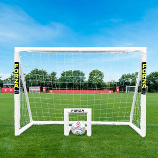 Net World Sports