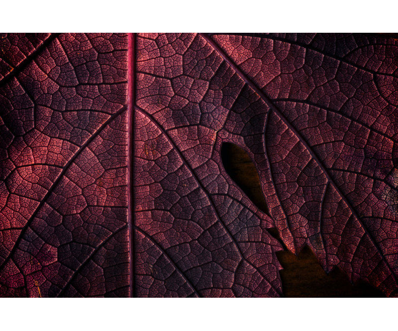 Wrapped Canvas Print, 50.8cm H x 76.2cm W