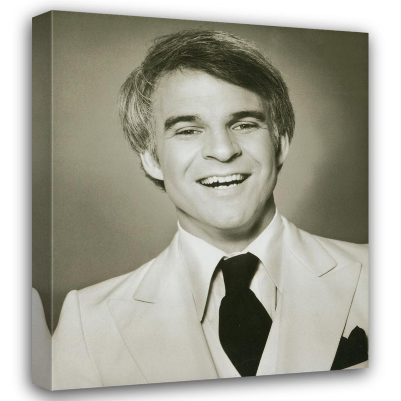 Steve Martin, H 18 po x l 15 po