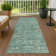 Machine Washable Indoor/Outdoor Hashlamoun ACN2324 Ikat Rug